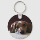 Buscar dachshunds llaveros Humor