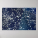 Buscar invertebrate Texture background