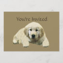 Buscar golden retriever invitaciones Fiesta