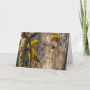 Buscar paracaídas tarjetas Vida silvestre