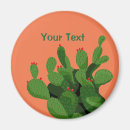 Buscar pera imanes Cactus