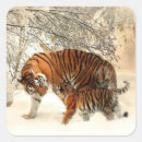 Buscar tigre pegatinas Nieve