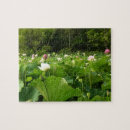 Buscar flor de loto puzzles Jardín