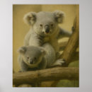 Buscar koala arte Animal australiano