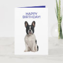 Buscar perro bulldog tarjetas Mínimo