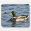 Buscar drake alfombrillas de raton Pájaro