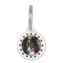 Buscar dog pet fotografía General y unisex