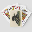 Buscar cuervo barajas de cartas Ilustracion