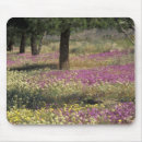 Buscar tex alfombrillas de raton Rosa