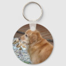 Buscar golden retriever llaveros De oro
