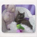 Buscar ipod postales Saludo