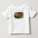 Buscar arboreto camisetas Ee uu