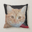 Buscar dibujos de lápiz cojines Ilustraciones