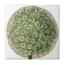 Buscar dandelion azulejos Flor