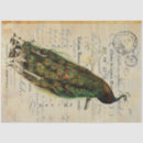 Buscar pavo real papel de seda Boho