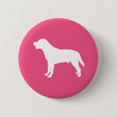 Buscar labradors accesorios Laboratorios