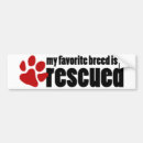 Buscar paw pegatinas parachoque Animal