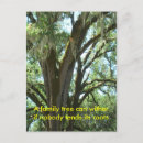 Buscar nuevo miembro de la familia postales Adopción