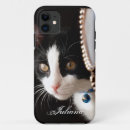 Buscar ojeada Gato