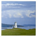 Buscar ganado azulejos Al aire libre