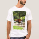 Buscar okapi camisetas Africano