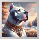Buscar dogo posters Cachorro