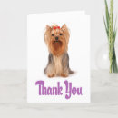 Buscar terrieres de yorkshire tarjetas Cachorro