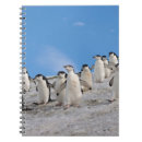Buscar antártico cuadernos Antártida