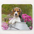 Buscar beagles alfombrillas de raton Lindo