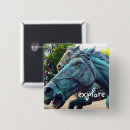 Buscar caballo chapas Fotografía