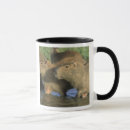 Buscar capybara casa hogar Carpincho