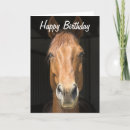 Buscar imágenes de caballos tarjetas Imagen de caballo