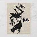 Buscar audubon postales Animales