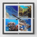 Buscar australia arte Gran barrera de coral