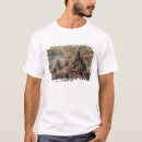 Buscar vencedor ropa Chapitel