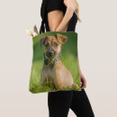 Buscar enchufe bolsos Perrito