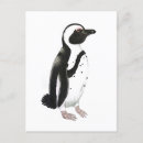 Buscar pingüino blanco y negro postales Adorable