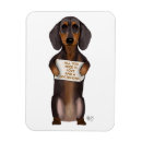 Buscar dachshunds imanes Amantes de los animales