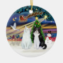 Buscar gatos blancos adornos General y unisex