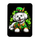 Buscar duende imanes Irlandés