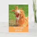 Buscar funny chicken tarjetas Pollo