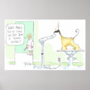 Buscar perro afgano posters Perros