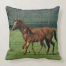 Buscar pura sangre cojines Potro de la yegua