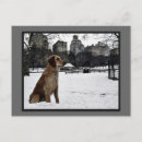 Buscar invierno de central park postales Navidad