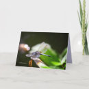 Buscar bokeh tarjetas Foto
