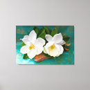 Buscar magnolia lienzos Planta