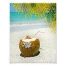 Buscar árbol de coco posters Océano