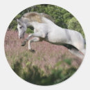 Buscar andaluz pegatinas Caballo