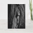 Buscar cabeza de caballo tarjetas 1 ᵉʳ explotación