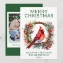 Buscar cardinal fotograficas tarjetas Navidades